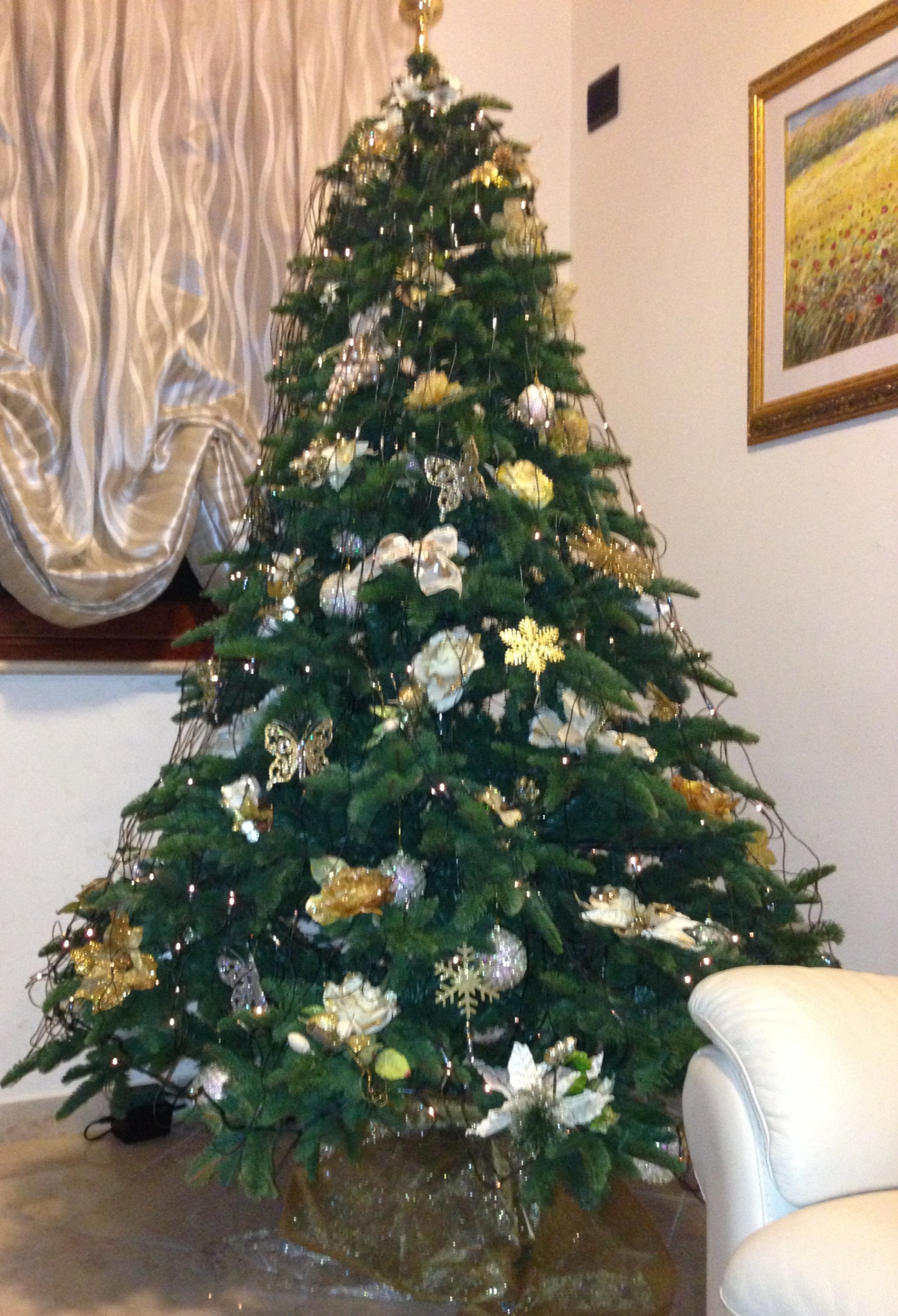 Antonella - 22/12/2012